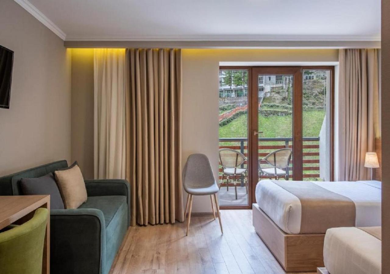 Sairme Hotels & Resorts 객실 사진